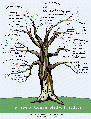 Tree-of-practices.gif